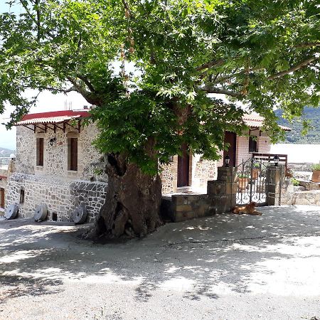 Traditional House Koukounara Κίσσαμος Εξωτερικό φωτογραφία