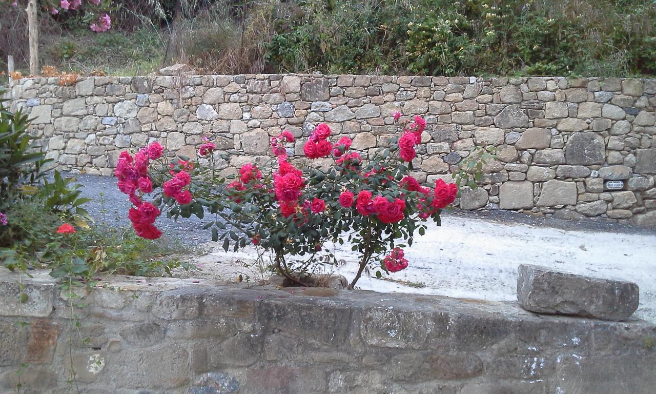 Traditional House Koukounara Κίσσαμος Εξωτερικό φωτογραφία
