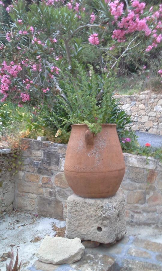 Traditional House Koukounara Κίσσαμος Εξωτερικό φωτογραφία