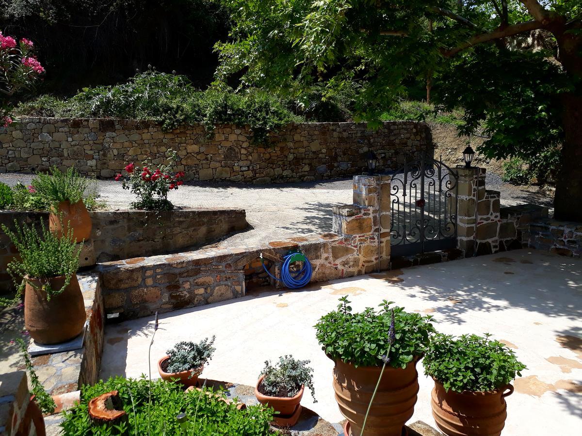 Traditional House Koukounara Κίσσαμος Εξωτερικό φωτογραφία
