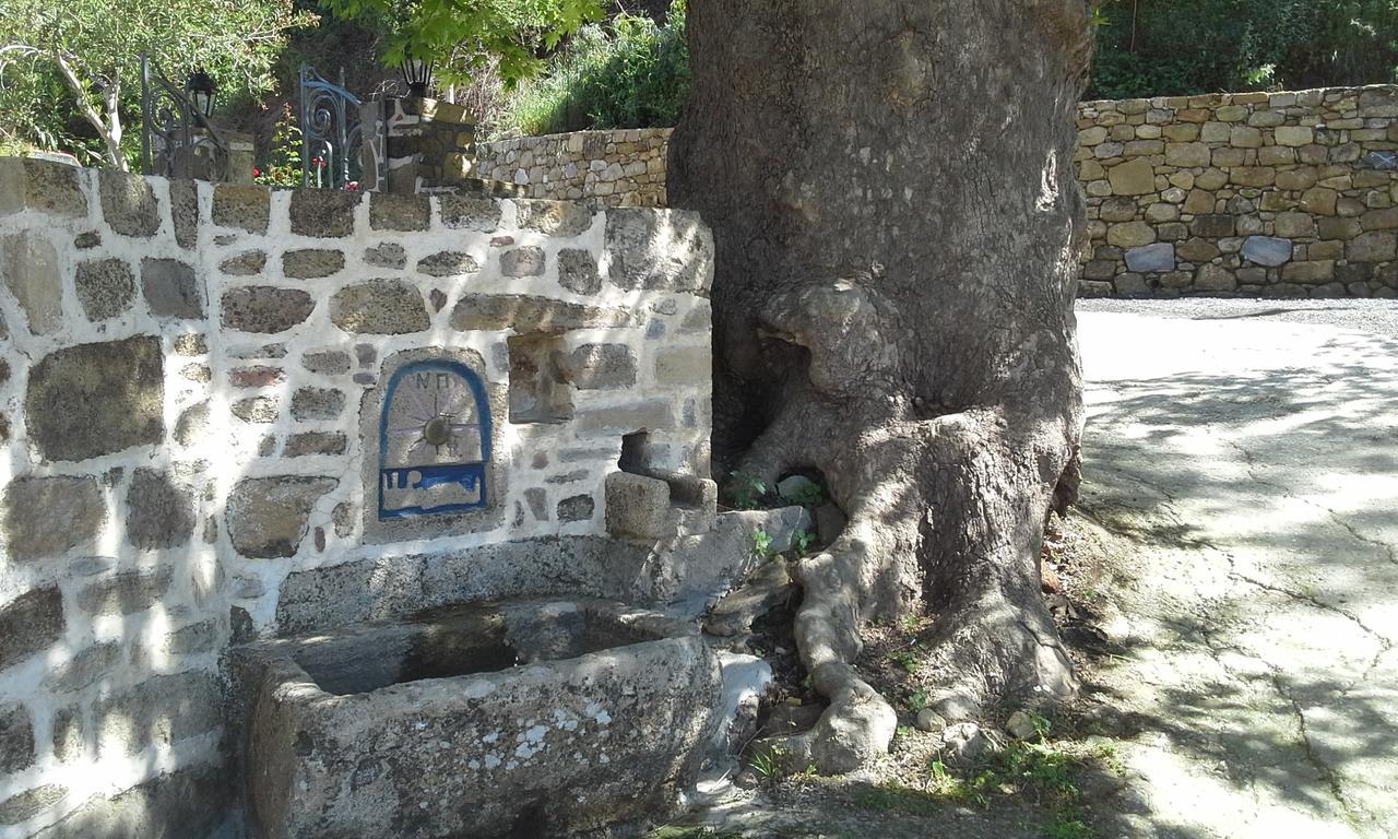 Traditional House Koukounara Κίσσαμος Εξωτερικό φωτογραφία