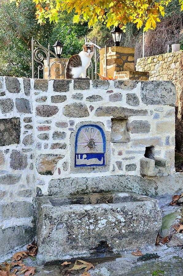 Traditional House Koukounara Κίσσαμος Εξωτερικό φωτογραφία